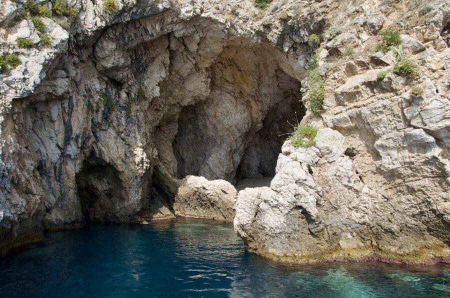 Taormina: White Lotus Tour - Dolphins at sea: what you can plan for, and what you cannot