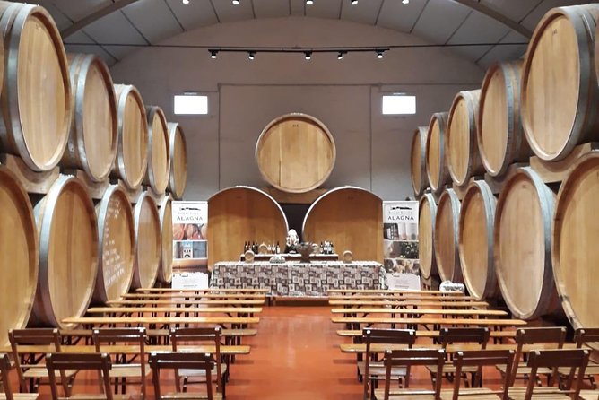 Tasting in the historic cellar of Marsala - Historic Barrel Cellars, Where the Tasting Starts