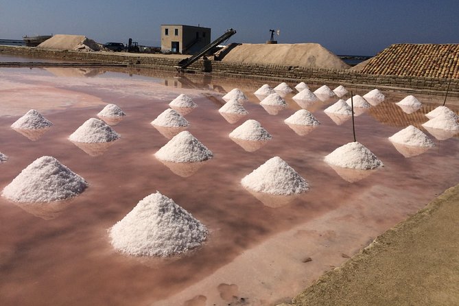 The best of the West Segesta, Erice, Trapani Saline, Full-Day Tour from Palermo - Museo del Sale near Trapani: how salt production shaped the island