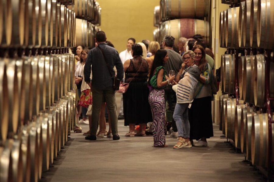 Tour and Premium wine tasting at Duca di Salaparuta - Who this tour suits best