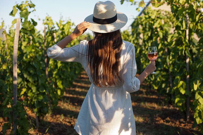 Tour Etna & Wine Tasting - Key Highlights You’ll Actually Feel on This Trip