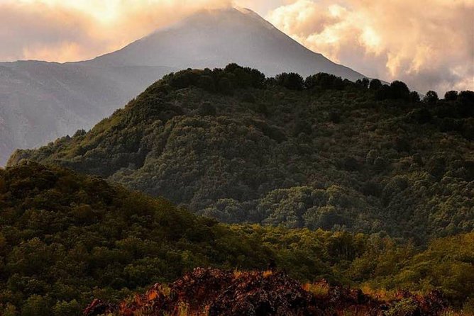 Tour Etna & Wine Tasting Private - Should You Book This Mount Etna and Wine Day?