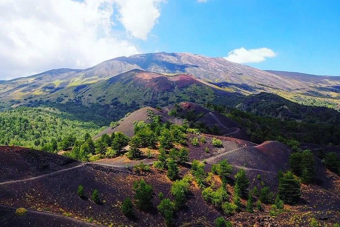 Tour Etna & Wine Tasting Private - Lunch on Schedule, Then Wine That Matches the Volcano