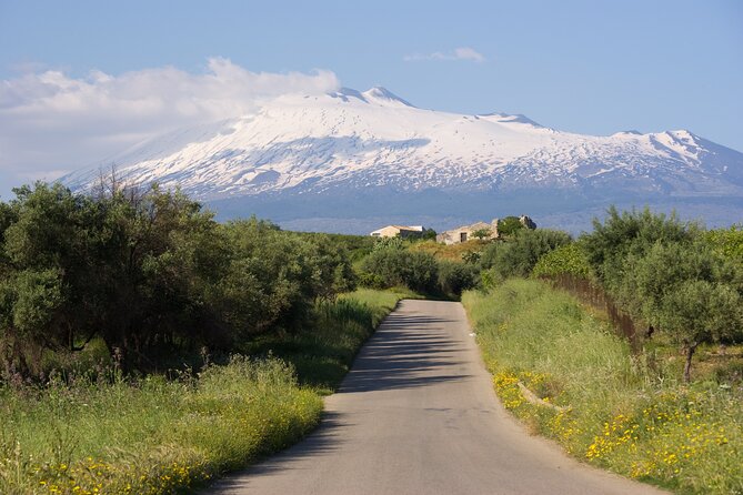 Tour of the Etna cellars, typical lunch and wine tasting - Gurne dellAlcantara: natural pools shaped by waterfalls