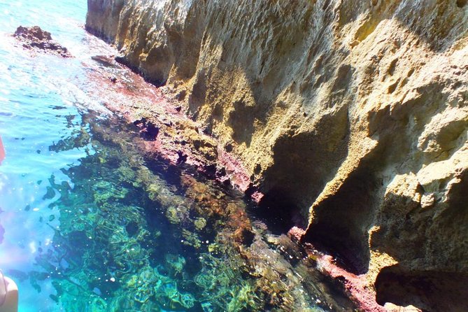 Tour of the island of Ortigia and exploration of sea caves with baths. - What kind of traveler this tour suits best