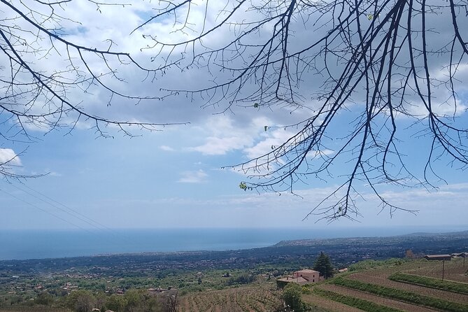 Tour two wineries of Etna wine tasting and lunch - The Human Factor: Guides Who Make This Day Fun