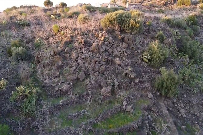 tour with tasting in the Bronte pistachio plantations - Bronte’s Volcanic Pistachios, and Why the Flavor Hits Different