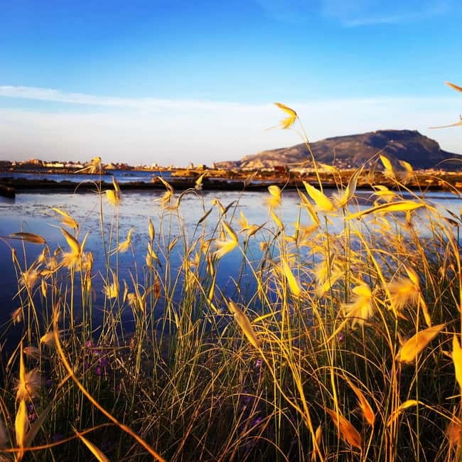 Trapani: 2-Hour Salt Flats Tour - Nubia salt area and the rhythm of photo stops