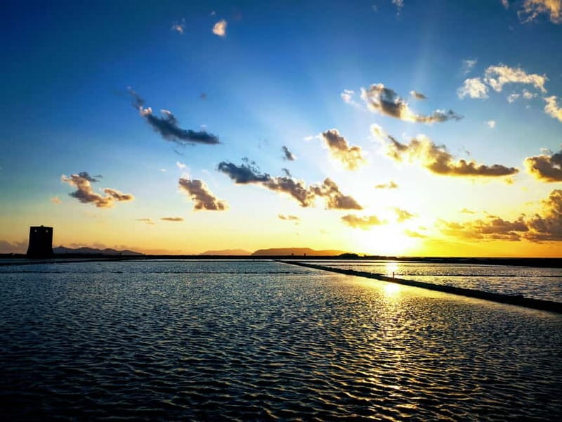 Trapani: 2-Hour Salt Flats Tour - Flamingos without the frantic birding