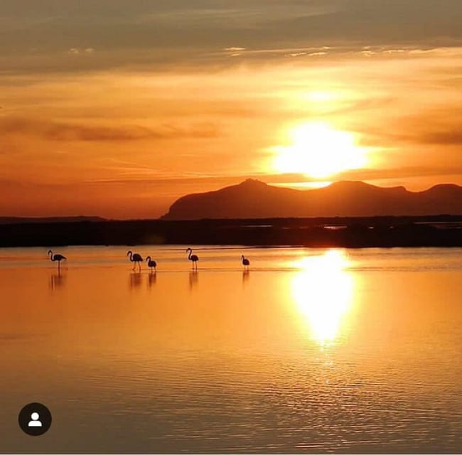 Trapani: Salt Pans Sunset Tour and Flamingo Way - Birdwatching in Saline di Trapani e Paceco, how to see more (and not scare them)
