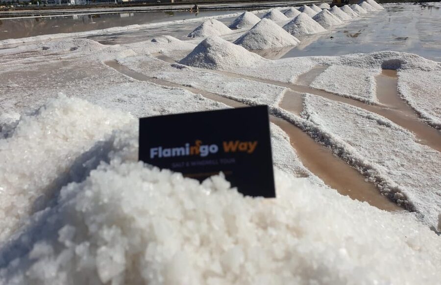 Trapani: Salt Pans Sunset Tour and Flamingo Way - Culcasi Salt Mine windmill museum, where the history gets physical