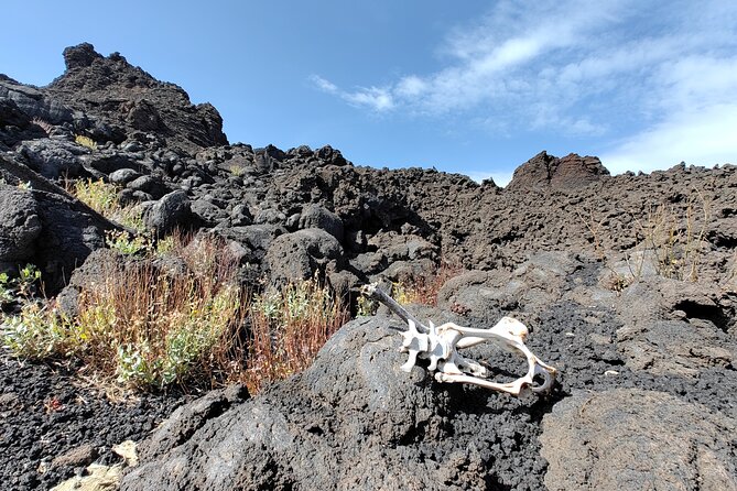 Trekking to Bottoniera Craters - How the Volcano Lesson Works (For Adults and Curious Kids)