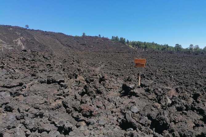 Trekking to Bottoniera Craters - Price and Value for a Private 3-Hour Crater Trek