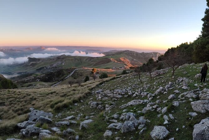 Truffle hunting in the Sicani mountains: a unique experience in Sicily - Woodland Snacks Instead of a Lunch, How to Plan Your Food Day
