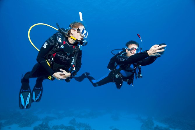 Try Scuba Dive (baptism of the sea) - The Try Scuba Test for First-Timers, Guided by Corrado