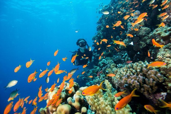 Try Scuba Dive (baptism of the sea) - Aci Castello Castle and Rodolico Axe Masters: Land Options After