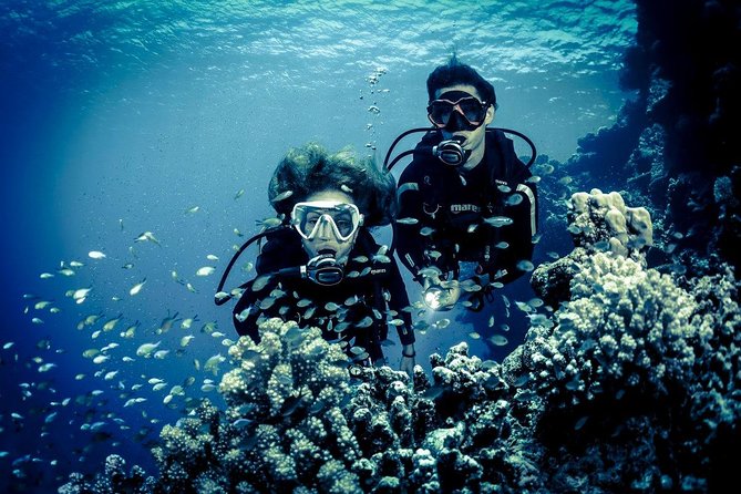 Try Scuba Dive (baptism of the sea) - Logistics That Make It Smoother Than You Expect