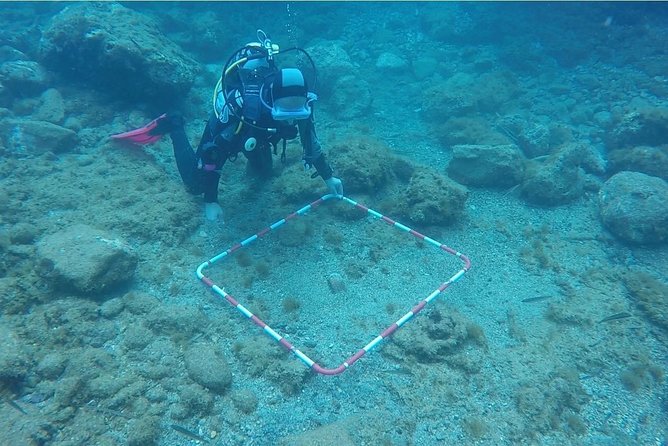 Underwater Archaeology Course - The Underwater Training Sessions: Practice That Builds Confidence