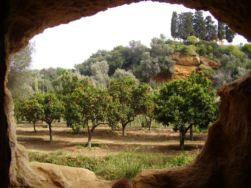 Valley of the Temples: Kolymbethra Garden Entry Ticket - Key highlights worth planning for