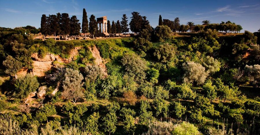 Valley of the Temples: Kolymbethra Garden Entry Ticket - Should you book? My straight answer