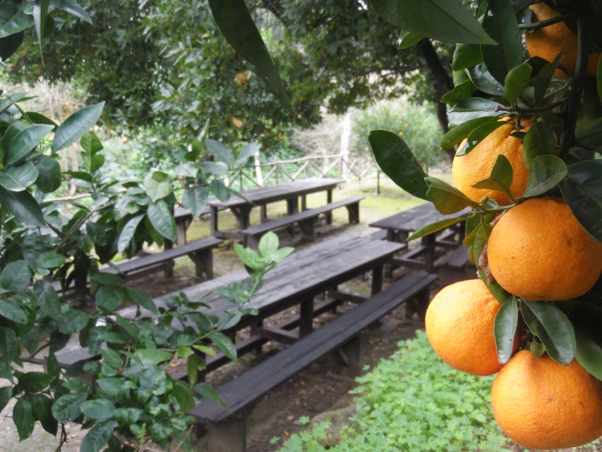 Valley of the Temples: Kolymbethra Garden Entry Ticket - FAQ