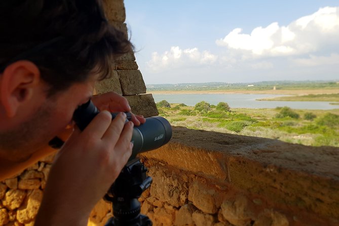Vendicari - Sicily's best coast nature reserve ( Birdwatching & Archeology ) - Birdwatching Walk Through Marshland and Dunes