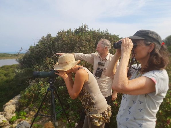 Vendicari - Sicily's best coast nature reserve ( Birdwatching & Archeology ) - Ancient Greek Fish Farm and Roman Villa Mosaics