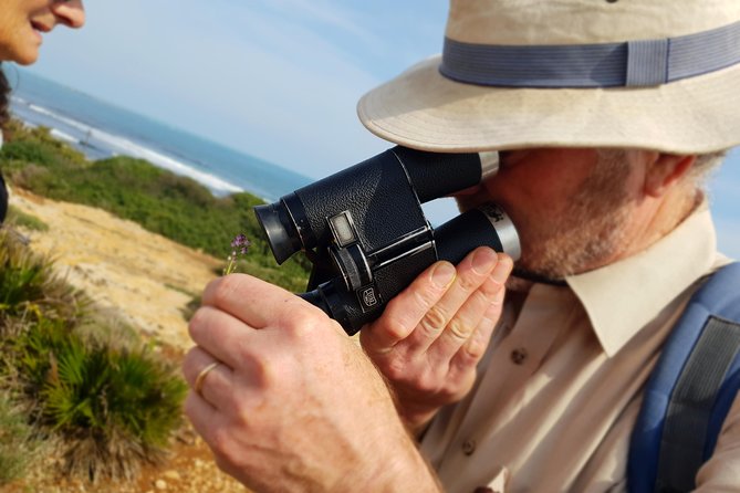 Vendicari - Sicily's best coast nature reserve ( Birdwatching & Archeology ) - Beach Time and the Swim Option on a Natural Coastline