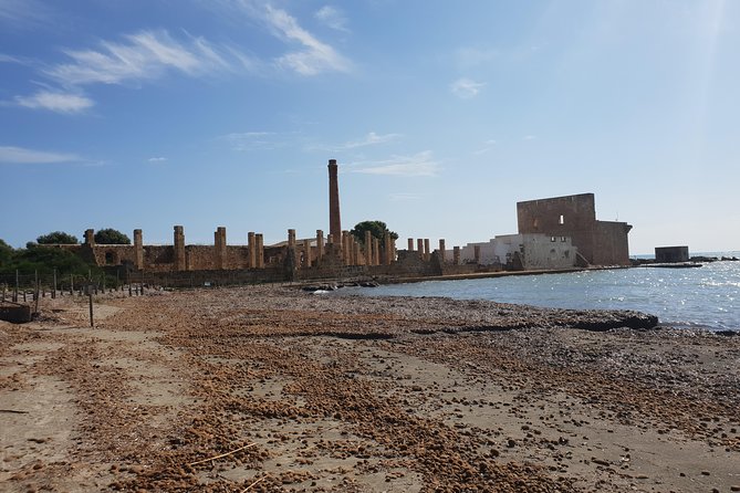 Vendicari - Sicily's best coast nature reserve ( Birdwatching & Archeology ) - What the Tour Feels Like in Real Life (Pace, Guides, and Comfort)