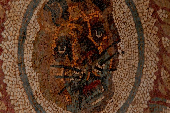 Villa Romana del Casale Mosaics Unesco Private Tour - Who should book this private mosaics tour