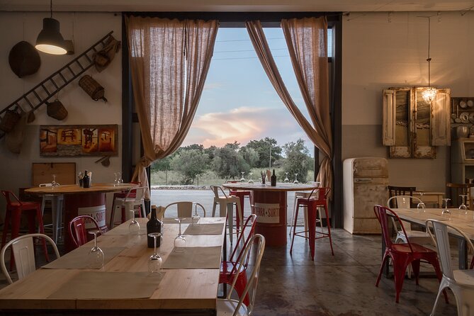 Visit to the olive grove, oil tasting and lunch at the farm - Key highlights you will feel right away