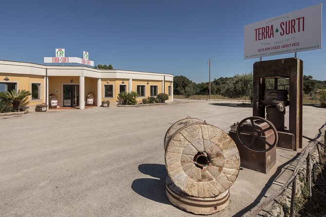 Visit to the olive grove, oil tasting and lunch at the farm - Any olive picking during your visit?