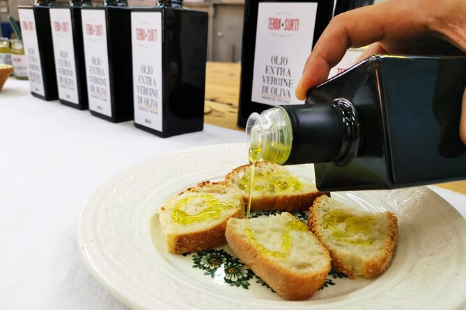 Visit to the olive grove, oil tasting and lunch at the farm - The farm setting: olive grove visit and family mill welcome