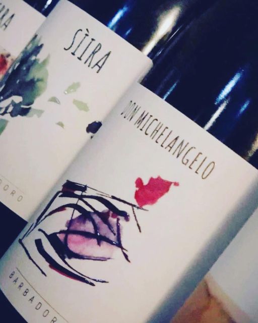 Walk among the rows of vineyards and wine tasting - Key highlights you will care about