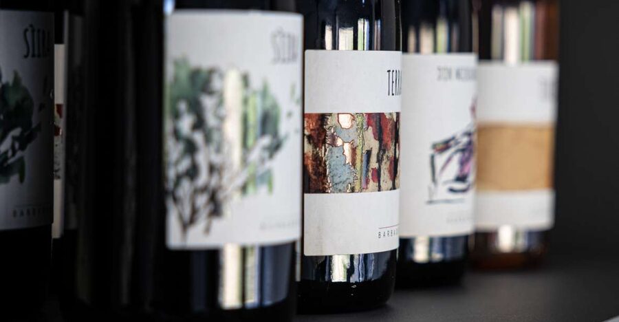 Walk among the rows of vineyards and wine tasting - Walking the vineyards with Francesco: native grapes and organic farming