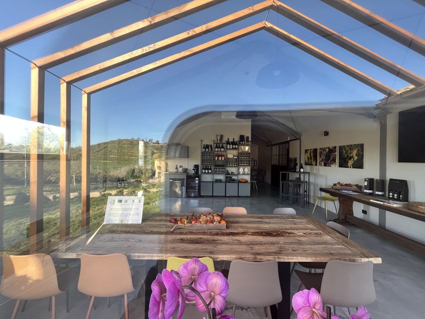 Walk among the rows of vineyards and wine tasting - Food and shopping: turning a great sip into a take-home plan