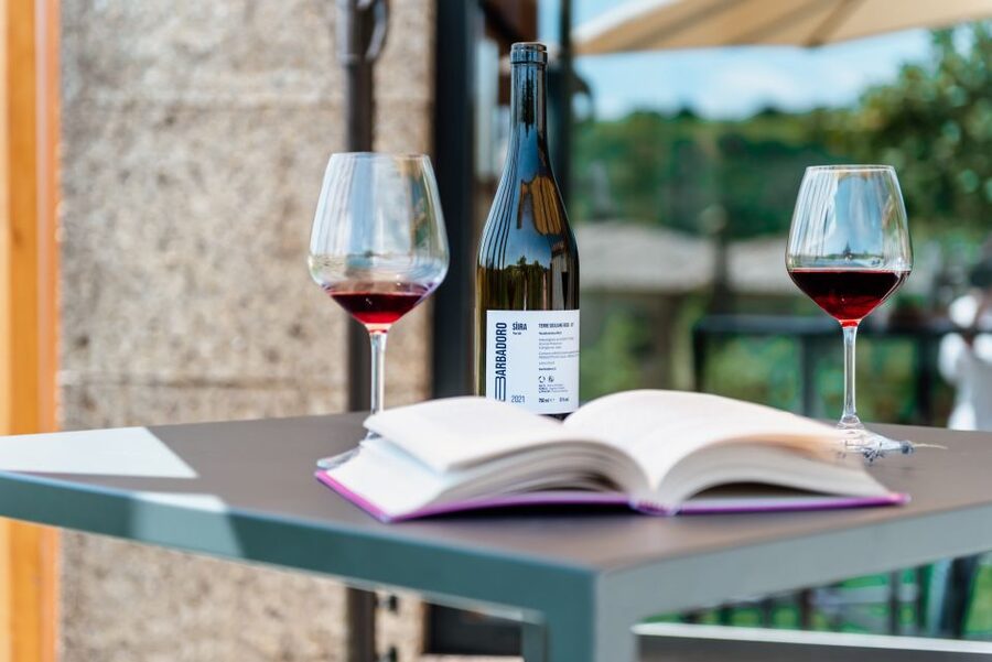 Walk among the rows of vineyards and wine tasting - Price and value for $65: what you’re really paying for
