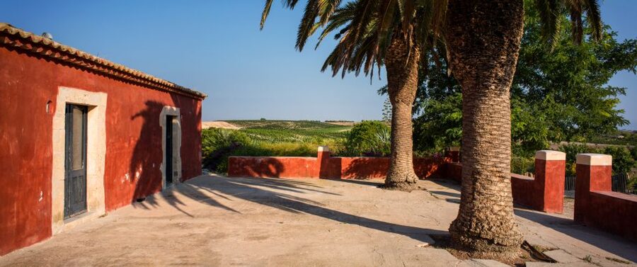 Wine Tasting and Typical Tastings in the Val di Noto - Val di Noto wine tasting in 90 minutes: what you actually get