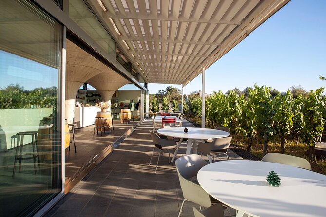 Wine tasting THE CLASSICS - The views and the estate walk that make it feel real