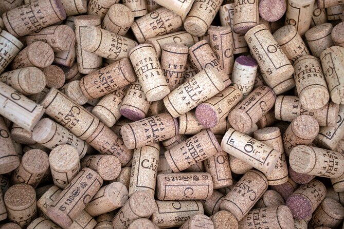 Wine tasting THE CLASSICS - Practical tips that help you enjoy it more