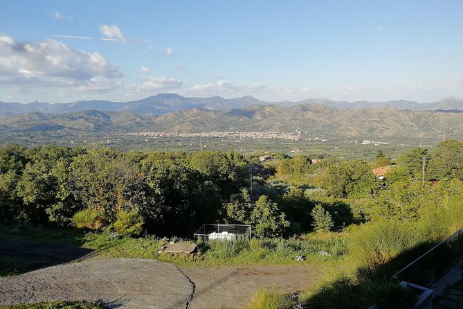 Wine Tasting Tour from Taormina - The Mt Etna Expectation Check: Views vs a Full Mountain Climb