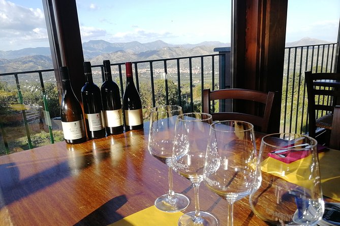 Wine Tasting Tour from Taormina - Wine Tasting Style: Portions, Pacing, and How to Get More Out of It