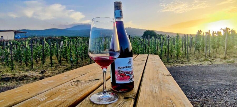 Wine tour with wine tasting - Practical tips to make your tasting day easier
