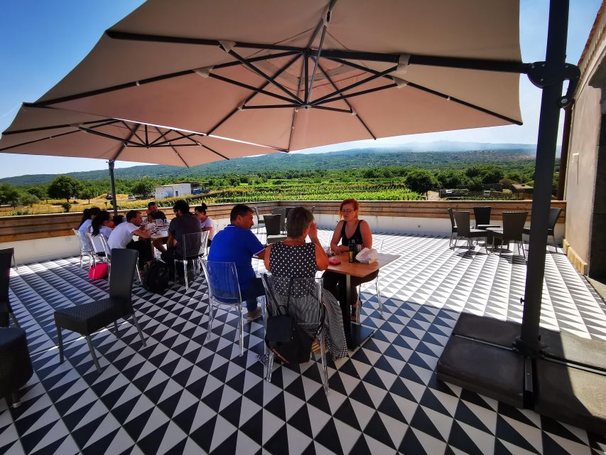 Wine tour with wine tasting - Technical Etna wine tasting: four wines, paired with bread and olive oil