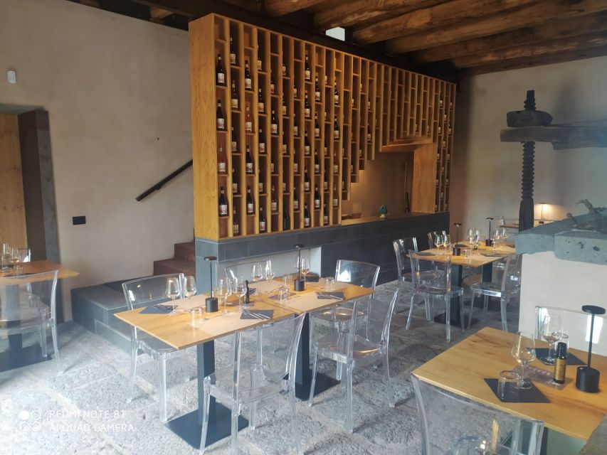 Wine tour with wine tasting - Timing and flow: 100 minutes that pack in a lot
