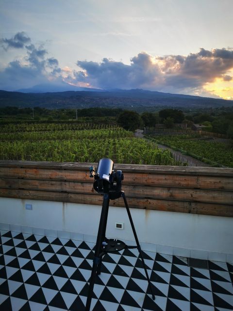 Wine tour with wine tasting - Price and value: is $34 worth 100 minutes?