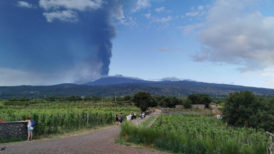 Wine tour with wine tasting - Who this tour suits best