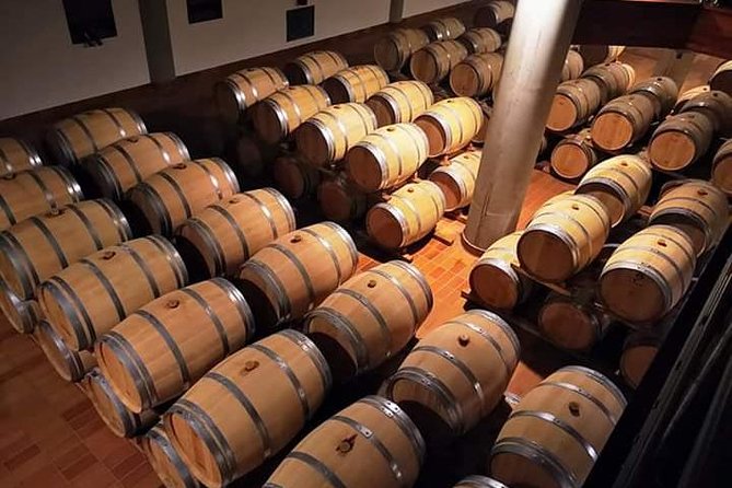 Winery tasting in Marsala and Mothia lagoon tour - Stop 1 at Cantine Pellegrino: Barrel-Tap Marsala in a Real Cellar