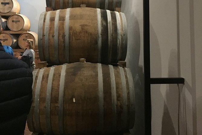 Winery tasting in Marsala and Mothia lagoon tour - Stop 3 on the Isole dello Stagnone Boat: Cruising Mothia by Flat Keel Boat