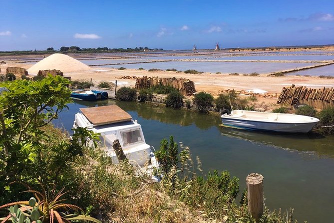 Winery tasting in Marsala and Mothia lagoon tour - Price and Value Check at $168.96 Per Person